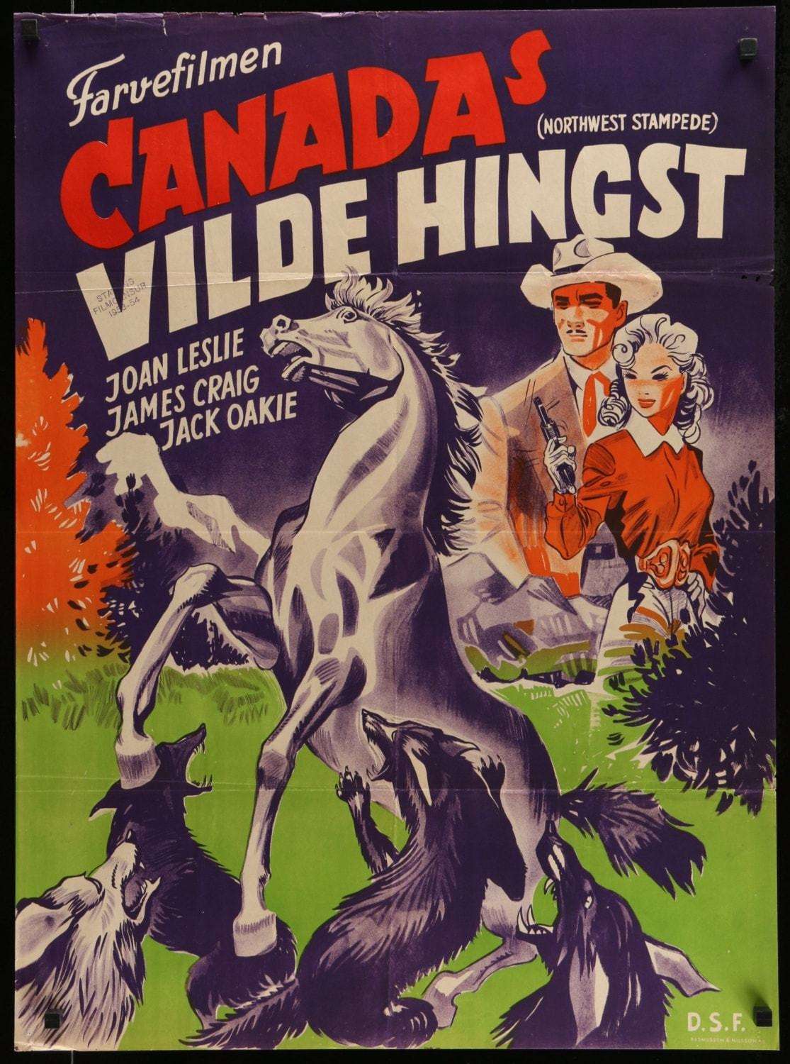 Northwest Stampede (1948) original movie poster for sale at Original Film Art - Vintage Movie Posters